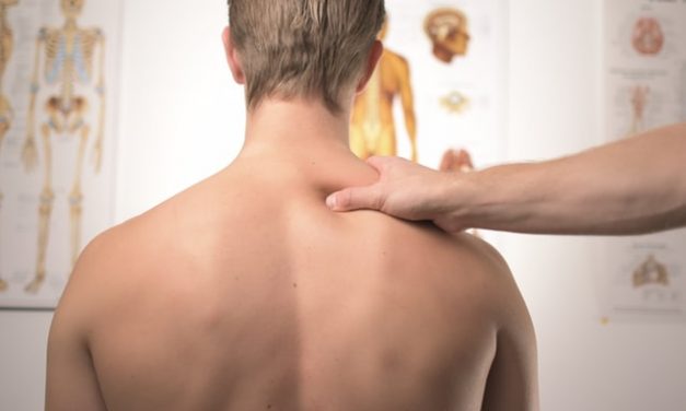 Chiropractic and the Immune System: A Great Relationship