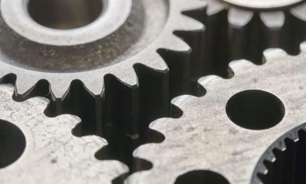 A Call for Unity in Wellness