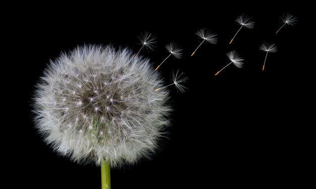 Multi-Level Resilience: An Idea Whose Time Has Come