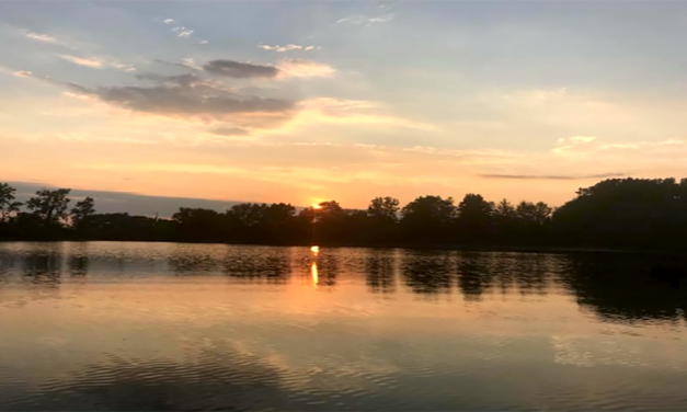 Afraid of the “New Normal”