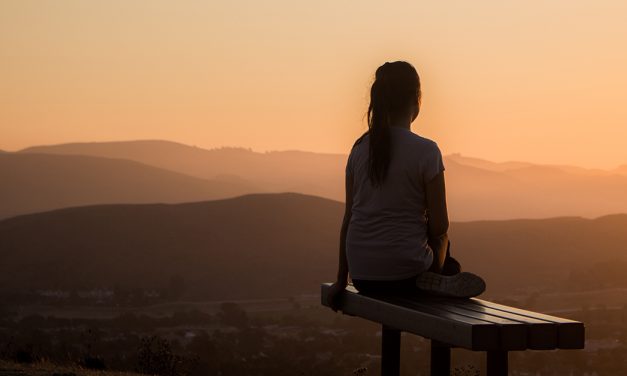 Stress Prevention in Well-being Programs in Eastern Europe During COVID-19