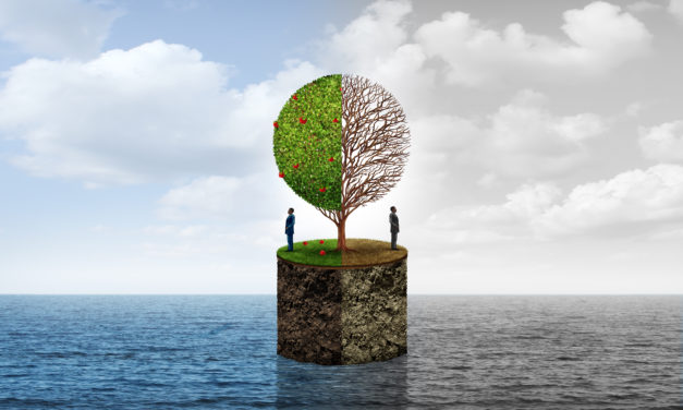 The Racial Wealth Gap: How it Started and How it’s Going